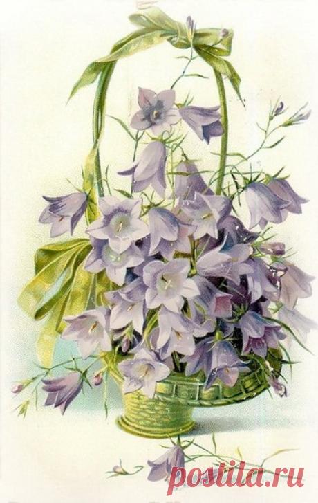 Винтажные открытки.