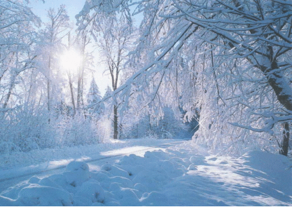Плейкаст «С ПЕРВЫМ СНЕГОМ»