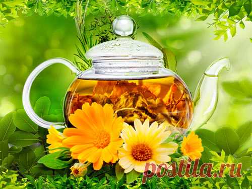 Монастырский сбор: 16 трав от ста недугов