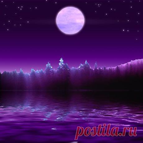 Ноктюрн фиолетовых звуков (Владимир Хорошевский) / Стихи.ру - национальный сервер современной поэзии