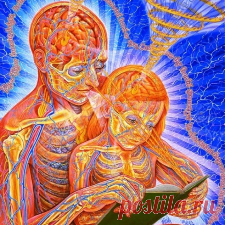 Кармические задачи вашей семьи