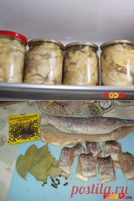 Рыбные консервы из щуки - Кулинарные рецепты на Food.ua