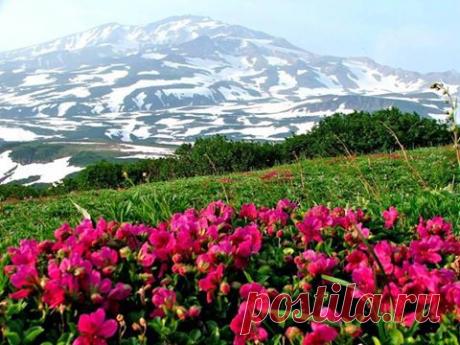 Камчатский пейзаж. По дороге на Мутновский вулкан. / На Джипе По Камчатке. ‎Фотопутешествия | Facebook