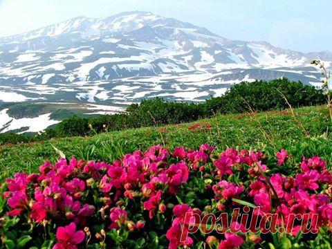 Камчатский пейзаж. По дороге на Мутновский вулкан. / На Джипе По Камчатке. ‎Фотопутешествия | Facebook