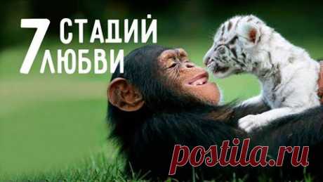 (9) Facebook
