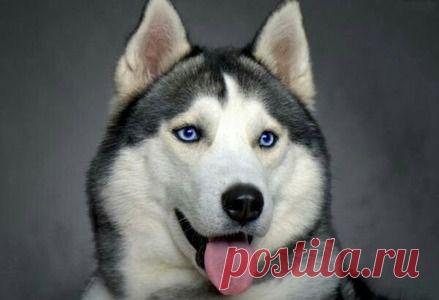 УЧИСЬ МАЛОЙ..