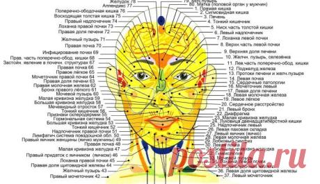 КАК БОЛЕЗНИ НАШИХ ВНУТРЕННИХ ОРГАНОВ СВЯЗАНЫ С РЕАКЦИЕЙ КОЖИ НА ЛИЦЕ И ТЕЛЕ? | ТИ особлива!