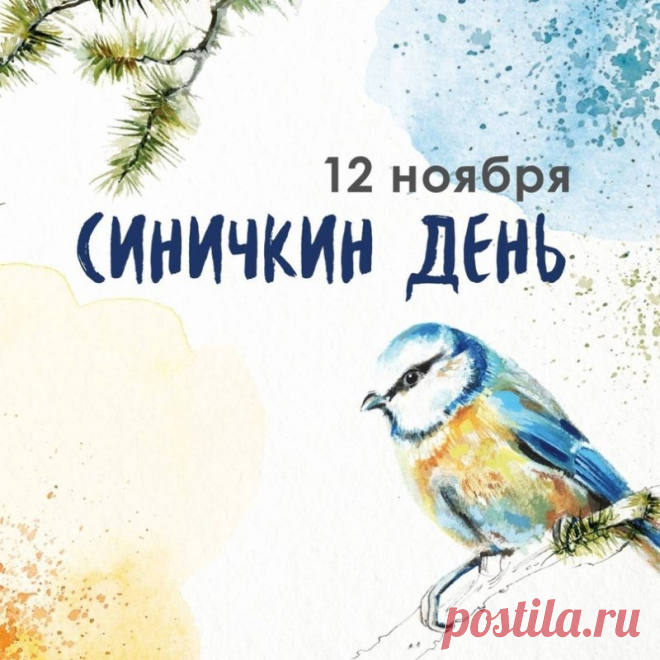 Пусть в этот Синичкин день ваш дом наполнится смехом, тепло — не кончается, а настроение будет лёгким, как перо! И пусть за окном звучит песня счастья.
Открытки на Синичкин день