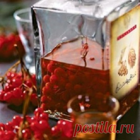 Калиновая настойка на коньяке с мёдом - МирТесен