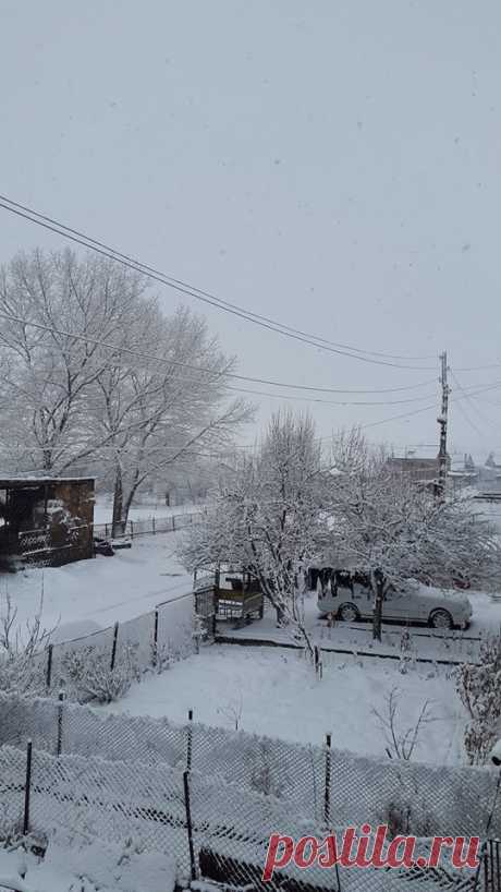 Ձյունառատ լուսաբաց...👻
Մարտի 24-ի լուսաբագը եւս դիմավորեցինք ձյան առատ տեղումներով...ոչ մի կերպ ձմերը չի ուզում հերանալ,զիջելով դիրքերը գարնանը:Դե ինչ այս գեղեցիկ ,տեղացող ձյունով ուղեկցվող օրը հուսամ կլինի օրհնությամբ լեցուն ու բարեբեր: