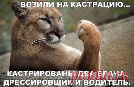 Интересные новости