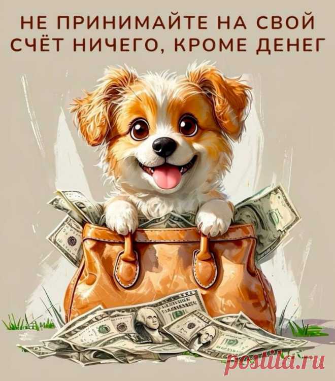 Выпуск №6550 - выпуск анекдотов сайта вокруг смеха