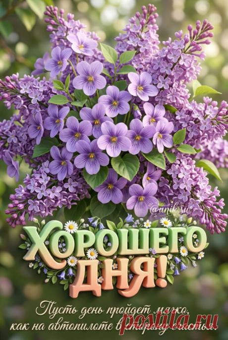 Хорошего дня картинки бесплатно