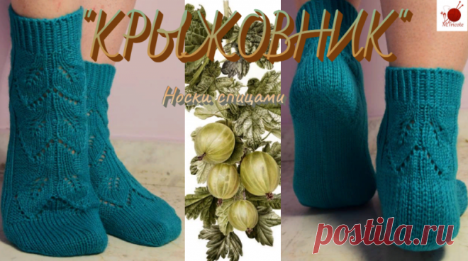 Носочки спицами из серии "ФЛОРА". "КРЫЖОВНИК".
