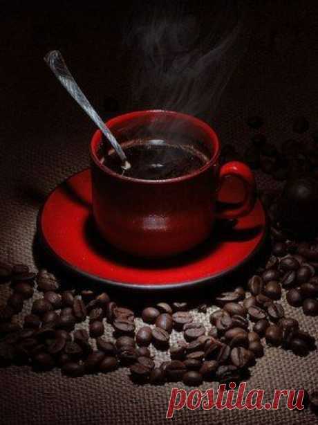 ДОБРОЕ УТРО!
Желаем вам счастья без всяких условий:
Без скобок, кавычек, пробелов и точек,
Желаем вам утра , пропахшего солнцем,
И нежности к кофе - сладкий глоточек!