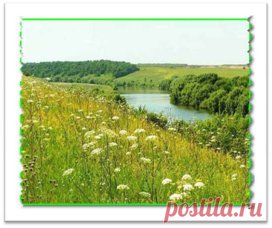 Рецепты настоев и настоек. При болях в суставах, при артритах, артрозах, остеохондрозе, радикулите и других суставных заболеваниях.