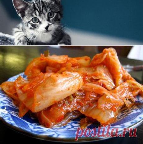 Закатка, соленье, соленья, закатка на зиму, статьи о закатке, статьи о соленьях, рецепты закатки, рецепты солений, закатка стать, соленья статьи - myhauze.ru