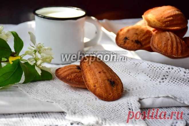 Печенье мадлен с чёрной смородиной