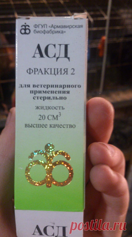 Крутейший препарат для птицы.
Я использую его для яйценоскости птицы. Если курица перестала нестись то просто даете ей АСД 2
АСД очень хорошо стимулирует яйценоскость, "прочищает" яйцевод , курица пьет воду с АСД буквально 5 дней и начинает нестись!
Я развожу 3,5 мл на 10 литров воды.
Единственный минус ЗАПАХ, приготовьтесь! АСД пахнет не очень .приятно, там целый "букет" запахов