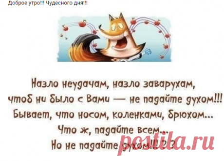 Новости