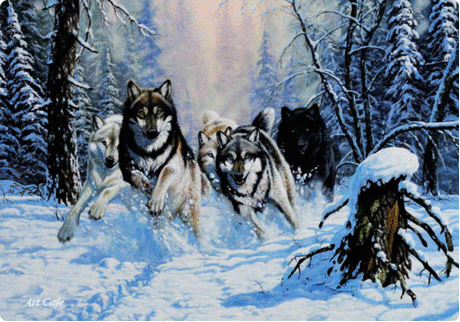 Мой Мир@Mail.Ru