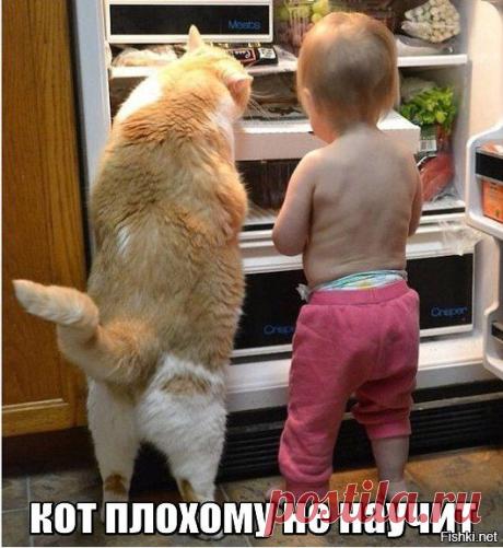 Ведро с сюрпризом