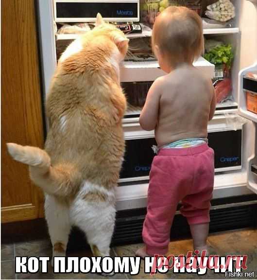 Ведро с сюрпризом