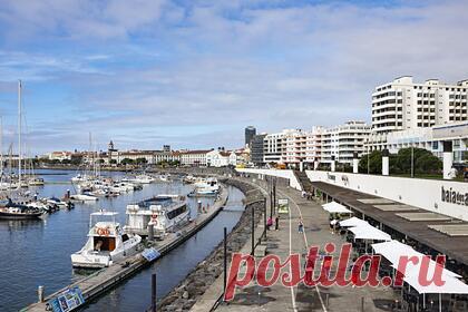 Популярный португальский курорт отменил все ограничения на въезд для туристов. Власти популярного португальского курорта Мадейра решили отменить все действующие на острове коронавирусные ограничения на въезд для иностранных туристов, в том числе россиян. Теперь прибывающие на курорт путешественники освобождаются от предоставления сертификатов о вакцинации и результатов ПЦР-теста.