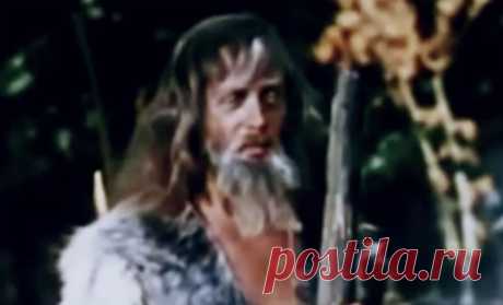 Благодаря фото из самолета, посреди океана на острове был найден человек
