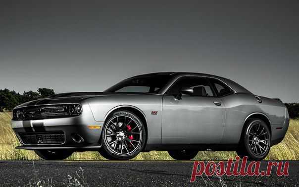 Dodge Challenger SRT8 392 Hemi / Только машины