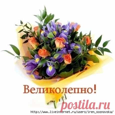Музыка золотого сечения - СЛАВЯНСКАЯ ЗДРАВА самолечение или медицинский геноцид - Группы Мой Мир