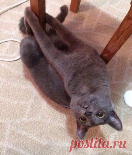 Когда делать уже совсем нечего!... | Позитив