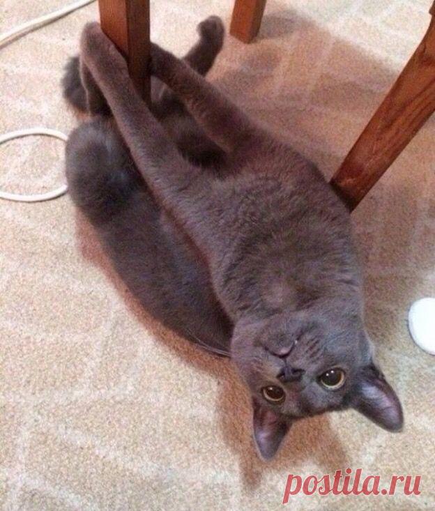 Когда делать уже совсем нечего!... | Позитив