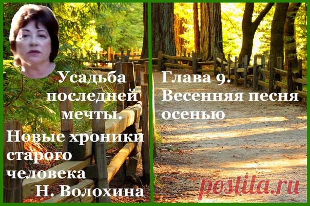 Глава девятая. Весенняя песня осенью
Оказывается, огромные звезды можно увидеть не только рядом с морем или в горах. Над Усадьбой последней мечты, совсем как над хутором близ Диканьки, дивной красоты узоры созвездий. Вот поставим беседку в саду, повесим гамак и будем любоваться звездами. Нет, до исполнения беседочных мечт тоже будем. Разве можно пропустить чудо?
Показать полностью…
