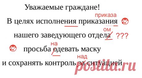 Эти вопиющие ошибки в деловом стиле допускают многие: заведующий отделА, согласно договорА и другие | Грамотность | Яндекс Дзен