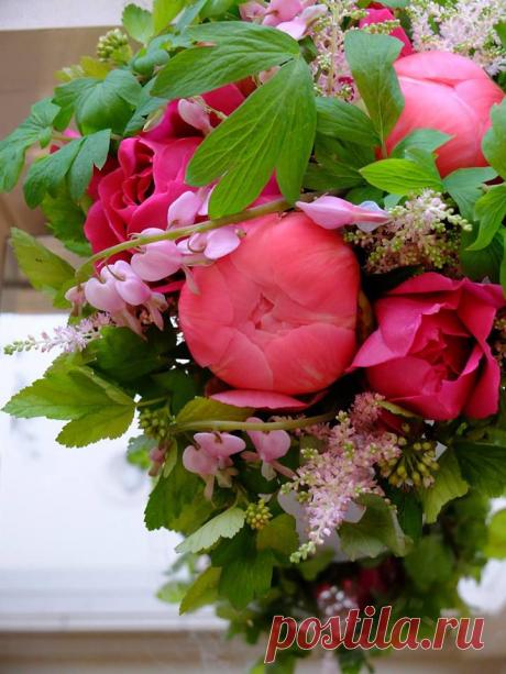 флористика