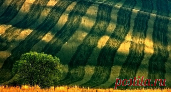 Красивые зеленые поля Европы | Newpix.ru - позитивный интернет-журнал
