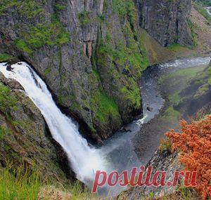 Величественное безмолвие — National Geographic Россия
