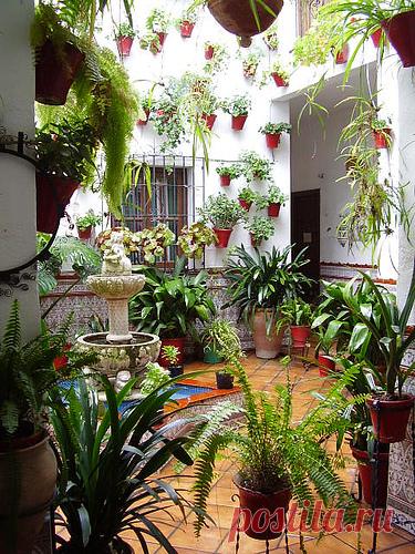 patios cordobeses interiores bonitos - Buscar con Google