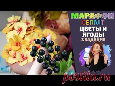 CERNIT Марафон. Третье задание | Цветы и ягоды