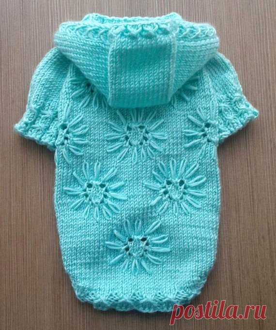 Sweater for dogs Dog dress Clothes for small dogs on order Dress for dogs Chihuahua clothing York clothes Hoodies for dog size XXXS XXS Puppy clothes Sweater for dogs Dog dress Clothes for small dogs on order Dress for dogs Chihuahua clothing York clothes Hoodies for dog size XXXS - XXS - XS - S - M - L - XL  Sweater knitted from acrylic yarn yarn. Yarn is soft, for children. A sweatshirt for a dog with a hood.