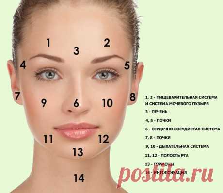 Подробная карта лица (сохраните, чтобы не потерять)