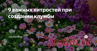 9 важных хитростей при создании клумбы
