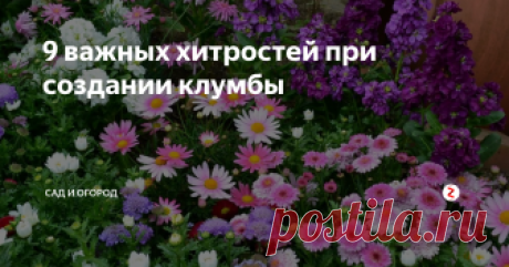 9 важных хитростей при создании клумбы