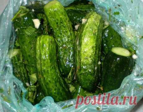ХОЗЯЙКА КУХНИ: рецепты, советы, красота