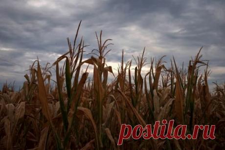 10 июля — Самсон Сеногной - Астрору