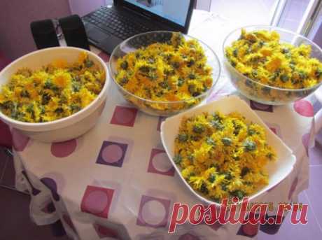 (2) Одноклассники