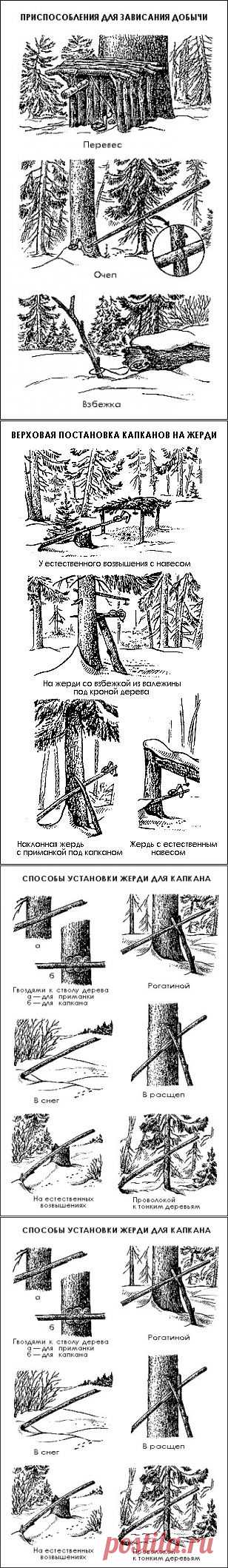 Общие приемы установки и маскировки капканов
