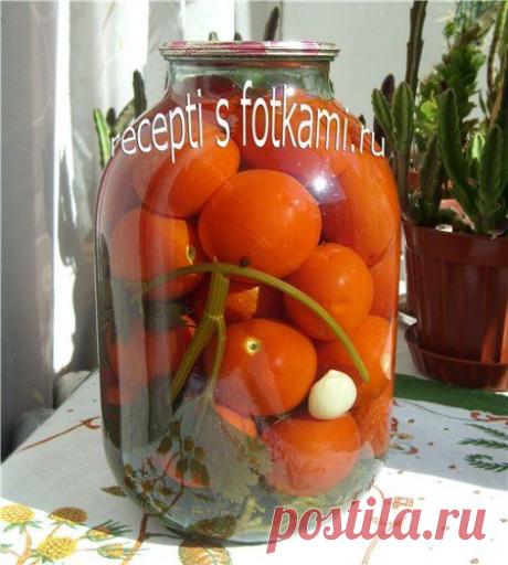 Маринованные помидоры на зиму без стерилизации - рецепт с фото