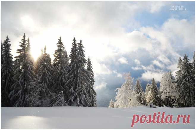 Winter